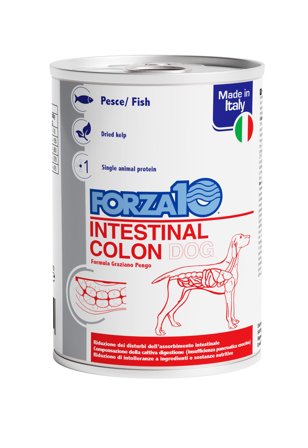 Forza10 Actiwet Intestinal Colon Cibo Umido Cani Adulti Barattolo