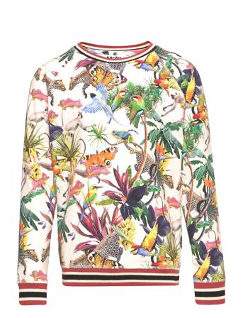 Raewyn Sweatshirt Trøje Multi/mønstret Molo