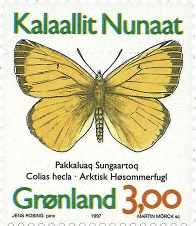 Grønland 1997 - AFA 305a - Postfrisk