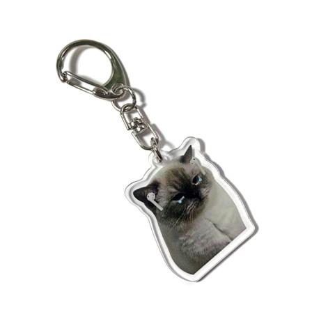 Funny Cat Akryl nøkkelring Little Ghost Pendant nøkkelring anheng A2