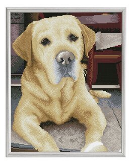 Diamond Dotz Labrador