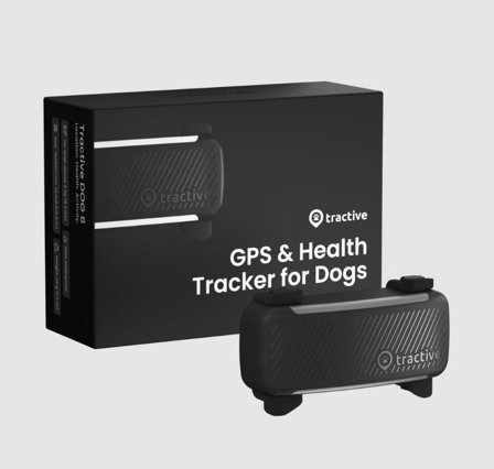 Tractive GPS Dog 6 til Hund - Svart