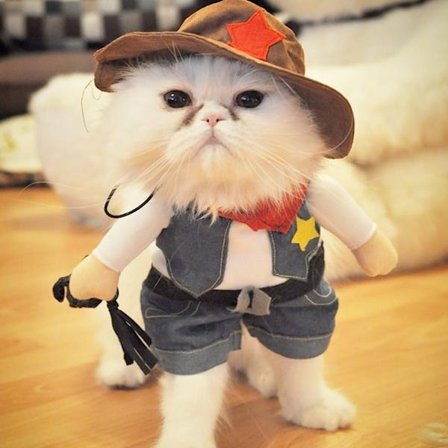 Cowboy hunde- eller kattedragt med hat, størrelse M