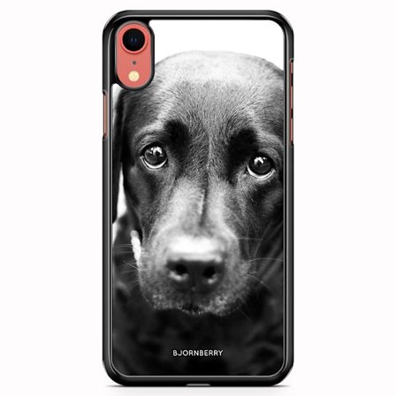 Bjornberry Skal iPhone XR - Valpögon