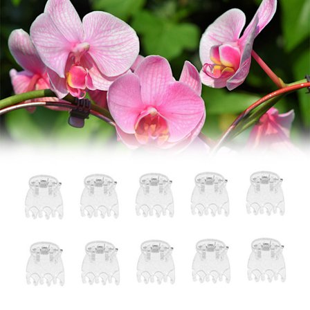 50 stk Clear 6 Claws Orchid Clips Plast Butterfly Orchid Suppo