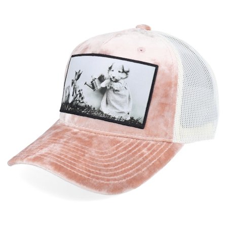 Calza Pennello - Roze trucker Cap - Dog Watering Plant Velvet Peach/Ivory A-frame @ Hatstore