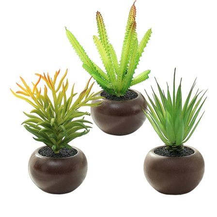 IC 3st brun medium rund kruka suckulenta krukväxter kreativa