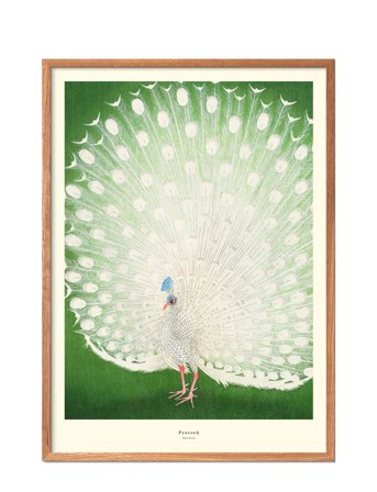 Poster & Frame Peacock-1 - Green - 29.7X42CM