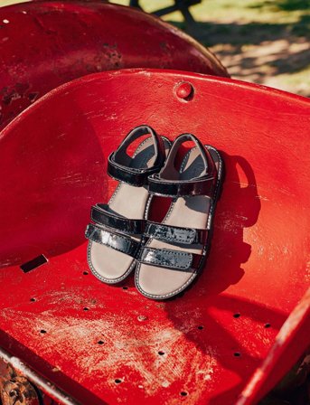 ANGULUS Sandals - Flat - Open Toe - Op - Black - 38