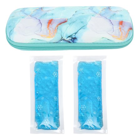 Insulinkylväska Isolerad bärbar medicinkylväska med 2 ispaket för resor utomhus typ 2