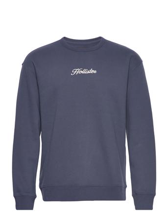 Hco. Guys Sweatshirts Sweatshirt Trøje Lilla Hollister