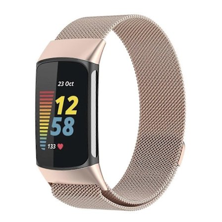 Fitbit Charge 6 / 5 xDfind Milanese magneettinen metallinen ranneke (LGL)