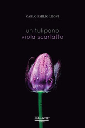 Un tulipano viola scarlatto Carlo Emilio Leoni