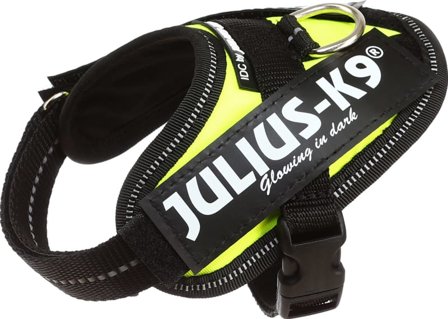 Julius-K9 Idc Harness UV Baby 1 Dog Harnesses & Dog Collars Green Baby 1