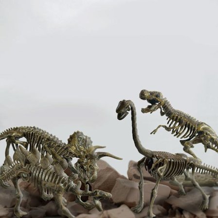 Dinosaurfossiludgravningssæt, 4-i-1 STEM-legetøj, fra 6 år