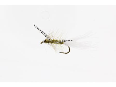 X-Fly Olive Kamasan B170 #6