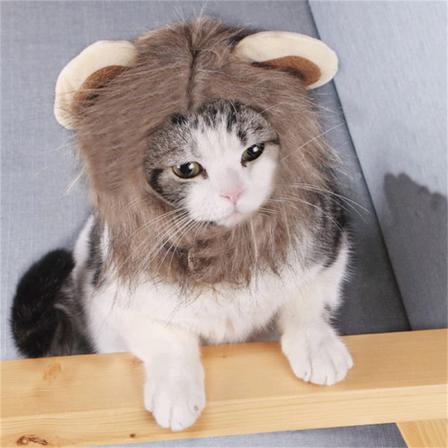 E Lejonman Katt Peruk Hatt Roliga Husdjur Kläder Cap Fancy Party Dogs
