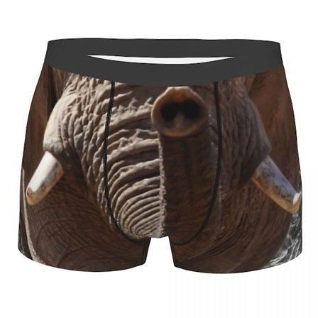 Elefant Snute Sjov Ansigt Mænds Boxer Shorts Underbukser Meget Åndbare Gaveidé