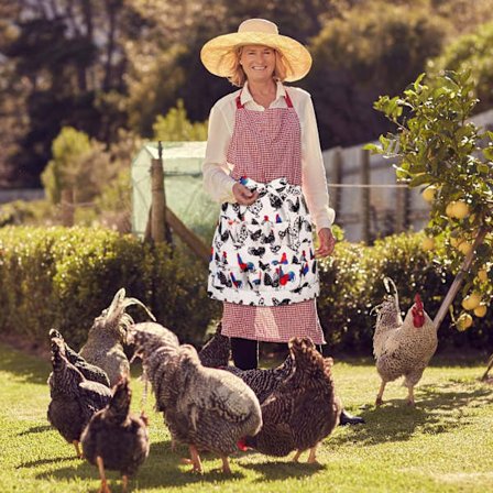 1 st äggplockningsförkläde äggplockningskjol plocka upp ägg