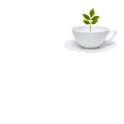 TISACELL MISC ERBE 100G TT