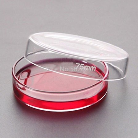 10pk 75mm Boro Glass Petriskåler Cell Sterile Kjemisk