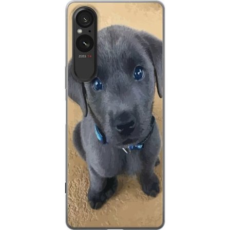 Kompatibelt Mobilskal till Sony Sony Xperia 5 V Grå valp med stora blå ögon sittande med oskyldigt uttryck mjuk päls och charmigt detaljrikt hundm