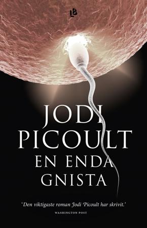 En enda gnista - Bok av Jodi Picoult - Inbunden