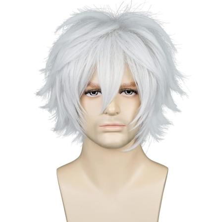 Wekity Unisex Anime Lyhyt Cosplay Peruukki Otsatukka Lämmönkestävä Hiukset,hopea Valkoinen,wz-1221 (FMY)