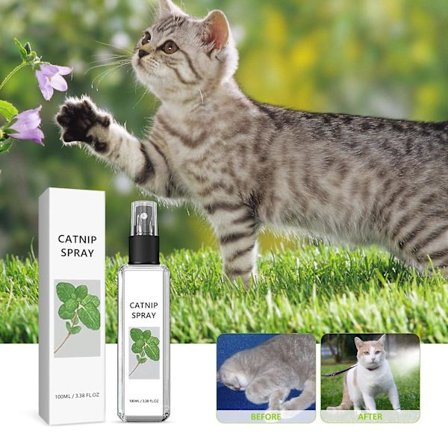 Herbal Cat Joy, Herbal Cat Joy Spray, Selleri Husdjur Kattmynta Spray, Selleri Husdjur Herbal Cat Joy, Kitty Joy Spray, Kattmynta Spray For Cats