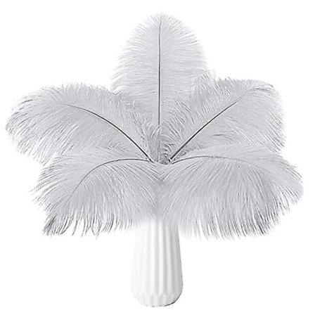 10 st strutsfjädrar naturlig bulk