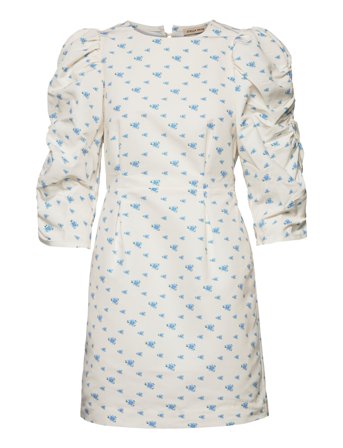 Stella Nova | Lady | 42