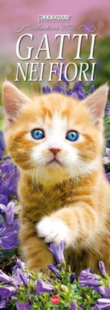 Gatti nei fiori. Calendario 2026