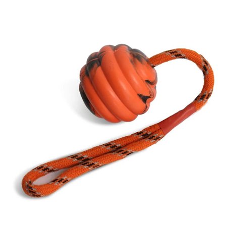 Tålig Interaktiv Aktivitetsboll Leksak för Husdjur Hund Belönings Tuggleksak för Hund Tandrengöringsboll Leksaker