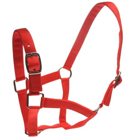 Roma Horse Headcollar Och Leadrope Cob Red