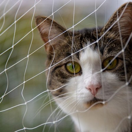 Nylon Balkong Kattenett, Transparent, Klippbart, Bittsikkert Balkong Kattenett for Terrasser, Vinduer og Dører (3 x 4 m)