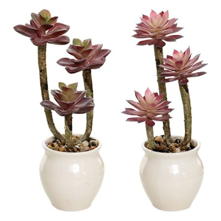 Pakke med 2 simulerings sukkulenter bonsai kunstige sukkulenter