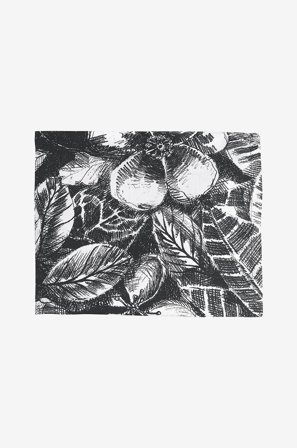 Svanefors - Pöytäliina Sonia, 140x250 cm - Monivärinen - Pöytäliinat - 140X250 - - Homeroom