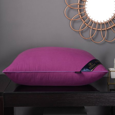 Sängkuddar Polyesterfyllning Mjuk Stödjande plyschkuddar för att sova 48x74cm