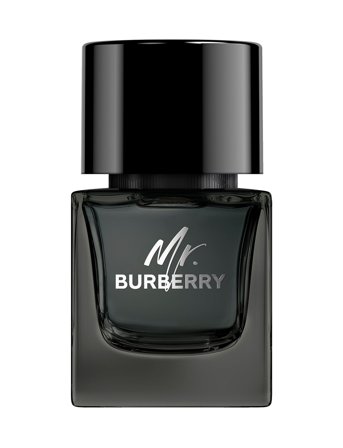 Burberry Fragrance Mr Burberry Eau De Parfum - Nude - 50ML