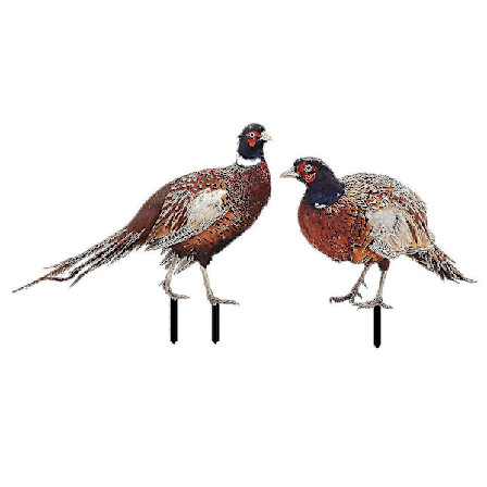 Fasaner Stake Set Om 2 Gräsmatta Gård Dekorativ Staty Skulptur För Trädgård (bäst)