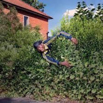 How to make a master peace MASTER PEACE