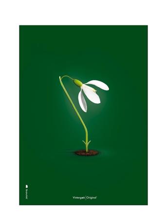 Vintergæk Grøn Home Decoration Posters & Frames Posters Botanical Multi/mønstret Brainchild