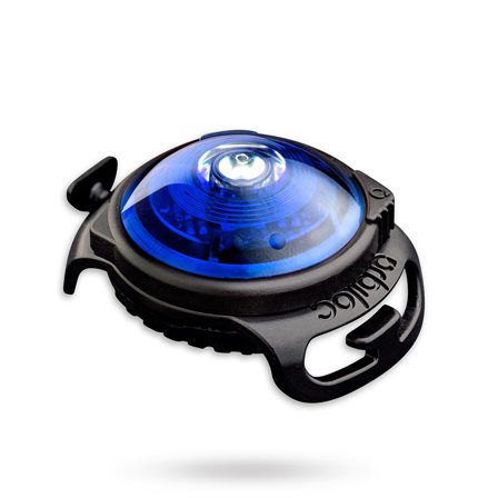 Orbiloc - Orbiloc Safety Light Blå - for store hunder - Reflekser & Sikkerhetslamper til gåturen på Doggie.no