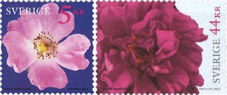 Sverige - Roser - Postfrisk selvklæbende sæt 2v