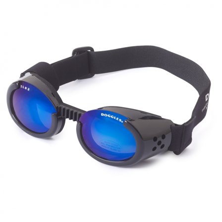 Doggles - Hundebriller ILS - Shiny Black / Blue Lens - Hundebriller fra Doggie.no - for store hunder