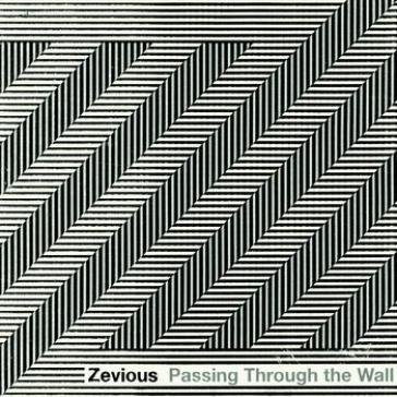 Passing through the wall Zevious
