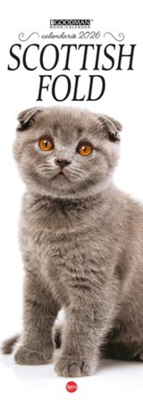 Scottish Fold. Calendario 2026. Long