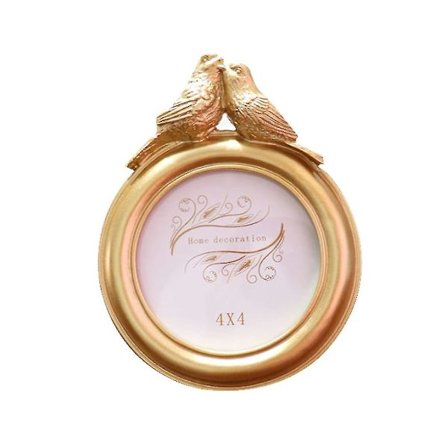 Rund Harpiks Fuglebilde Ramme Med Glass Bordstativ Vegg Henge Hjem Dekorasjon