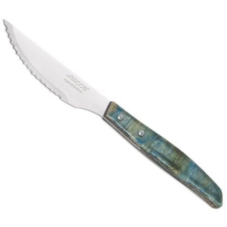 Steakknive - ARCOS Forest - 110/220 mm - Rustfrit Stål - Komprimeret Poppeltræ - Blå Nuancer