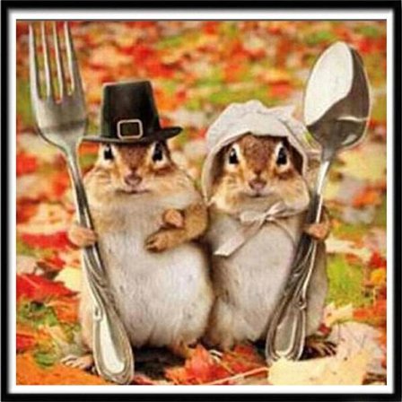 Timanttimaalaus Neliömäiset helmet 50x50 cm 5D DIY Eläin Orava